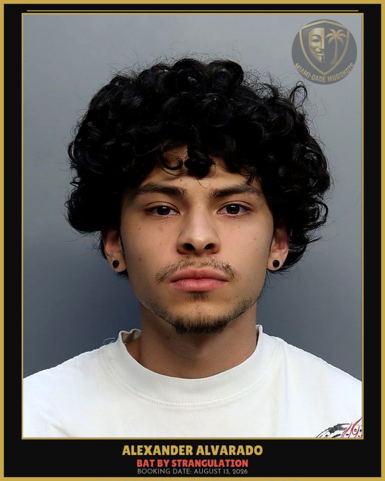 Alvarado Alexander Arrested – BAT BY STRANGULATION – Miami-Dade County (August 13, 2026)