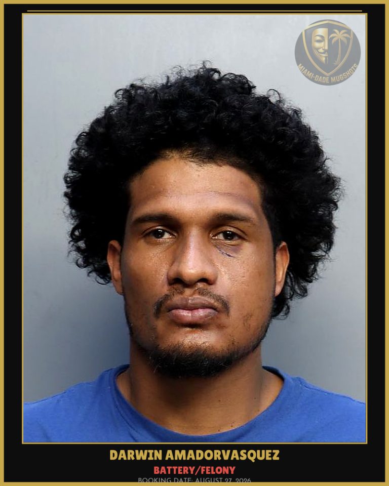 Amadorvasquez Darwin Arrested – BATTERY/FELONY – Miami-Dade County (August 27, 2026)