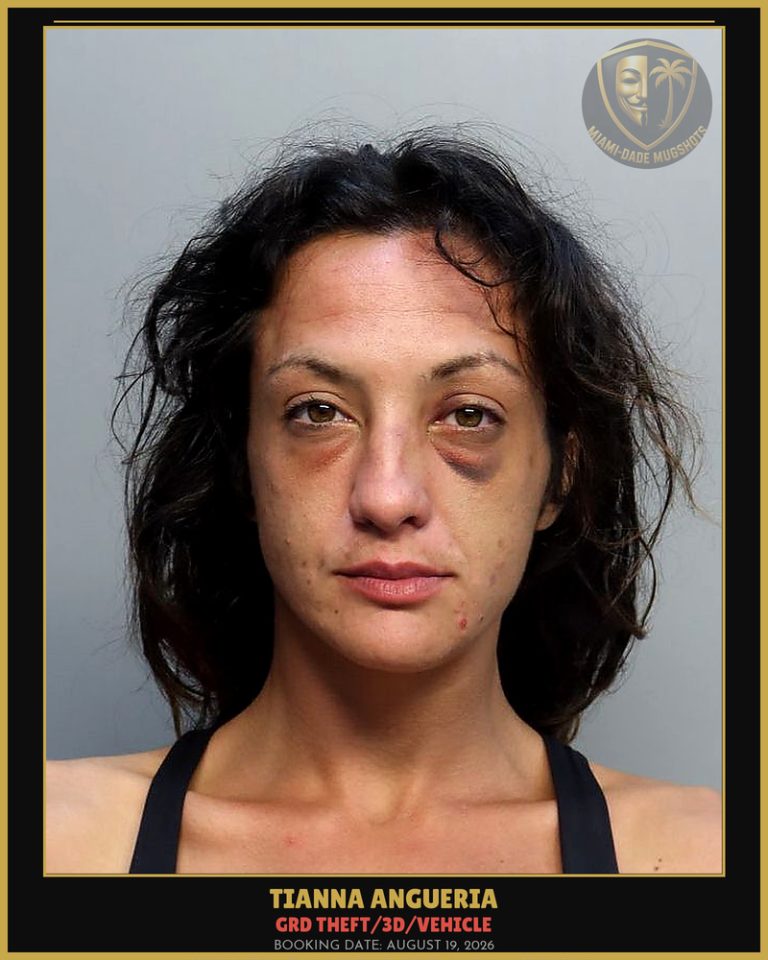 Angueria Tianna Isabelle Arrested – GRD THEFT/3D/VEHICLE – Miami-Dade County (August 19, 2026)