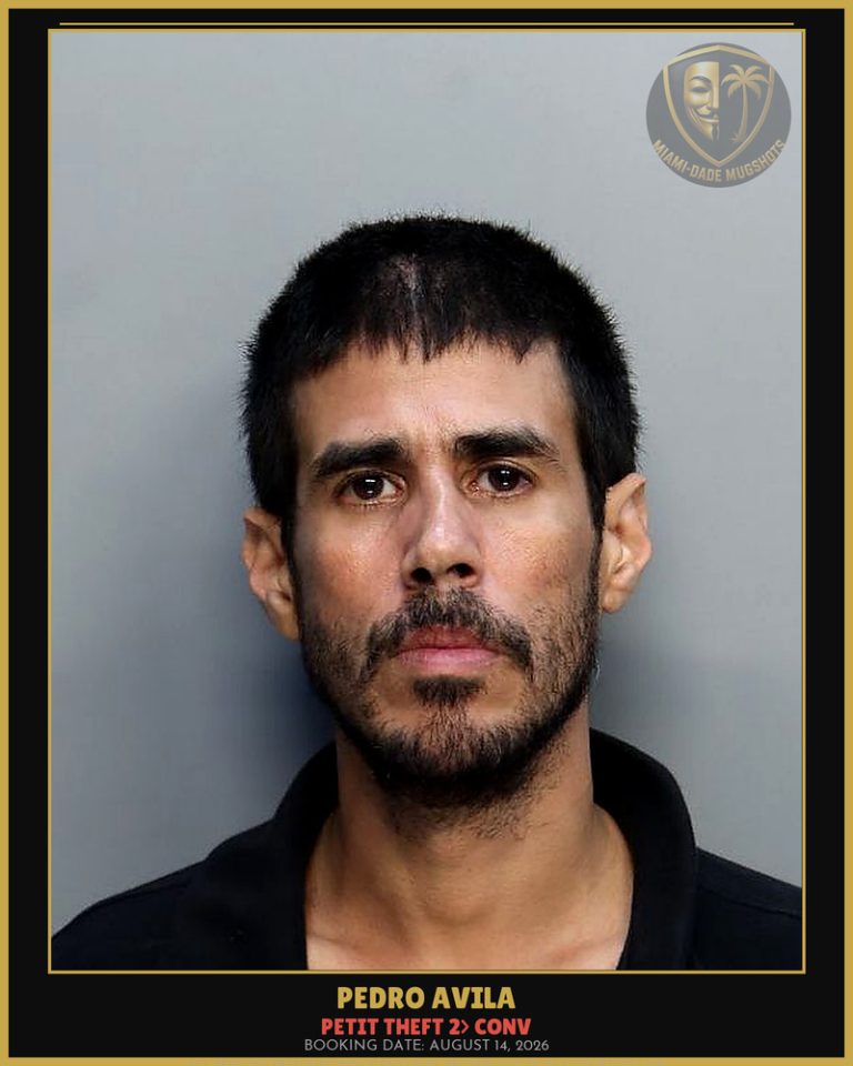 Avila Pedro Arrested – PETIT THEFT 2> CONV – Miami-Dade County (August 14, 2026)