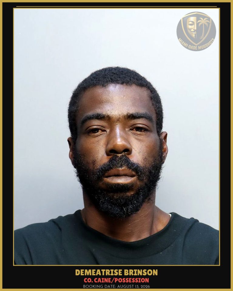 Brinson Demeatrise  L Arrested – Co. Caine/POSSESSION – Miami-Dade County (August 13, 2026)