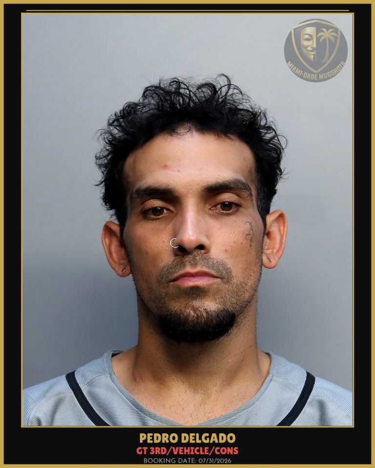 Delgado Pedro  Y Arrested – GT 3RD/VEHICLE/CONS – Miami-Dade County (July 31, 2026)