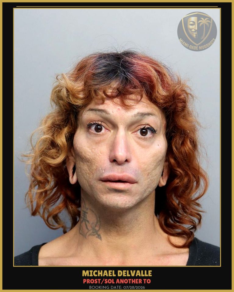 Delvalle Michael Anthony Arrested – PROST/SOL ANOTHER TO – Miami-Dade County (July 28, 2026)