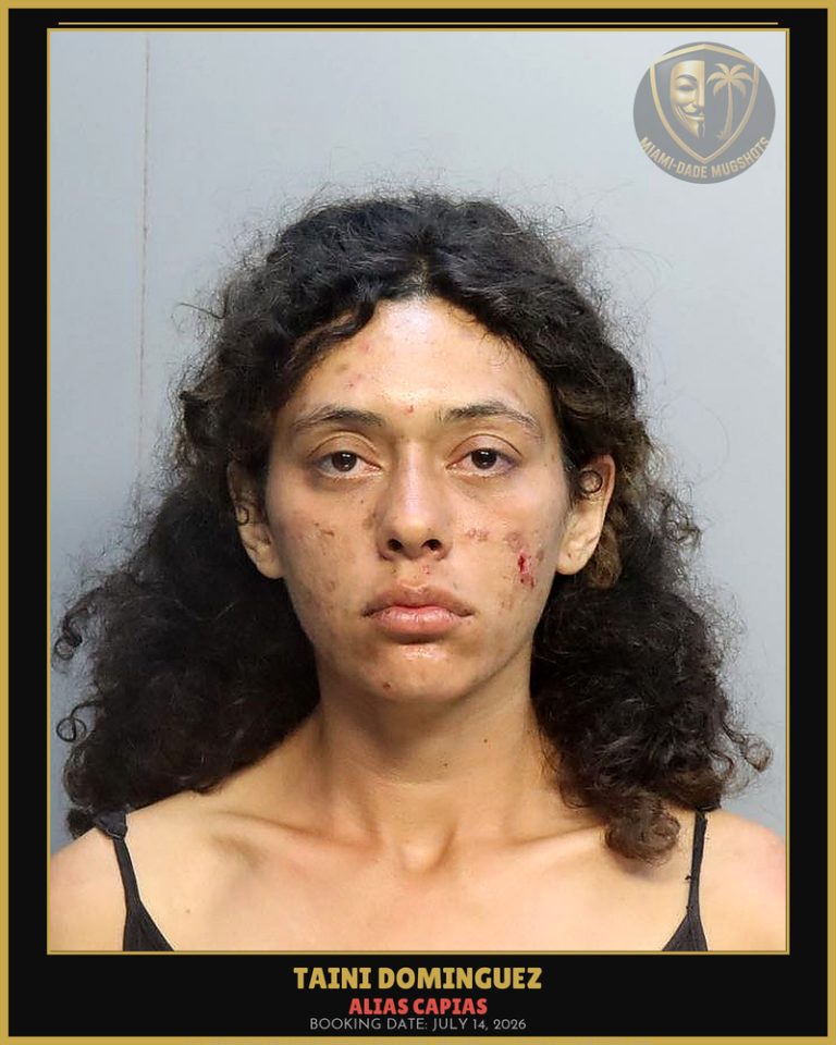 Dominguez Taini Arrested – ALIAS CAPIAS – Miami-Dade County (July 14, 2026)