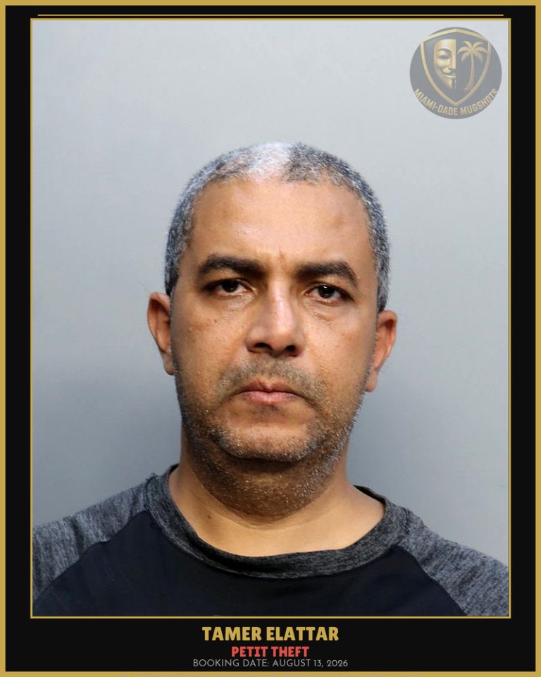 Elattar Tamer Arrested – PETIT THEFT – Miami-Dade County (August 13, 2026)
