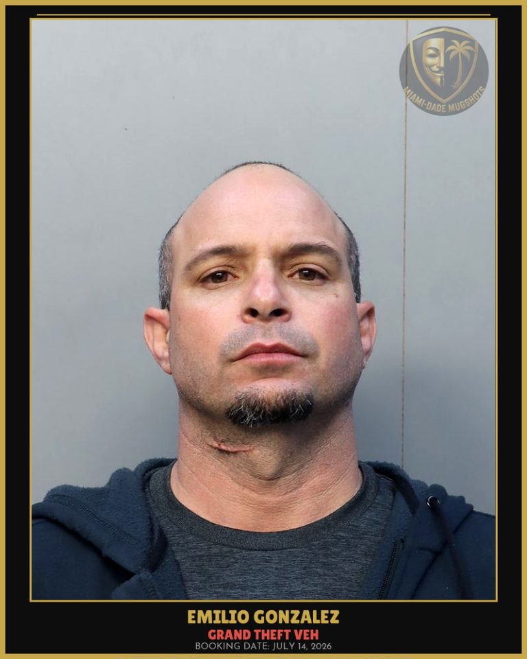 Gonzalez Emilio Mario Arrested – GRAND THEFT VEH – Miami-Dade County (July 14, 2026)