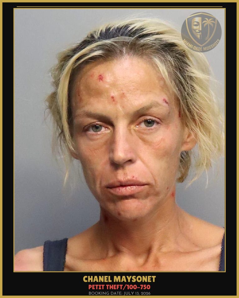 Maysonet Chanel Arrested – PETIT THEFT/100-750 – Miami-Dade County (July 13, 2026)