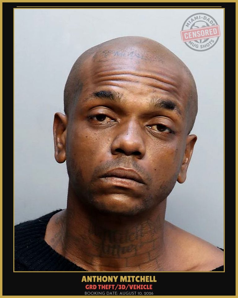 Mitchell Anthony Arrested – GRD THEFT/3D/VEHICLE – Miami-Dade County (August 10, 2026)