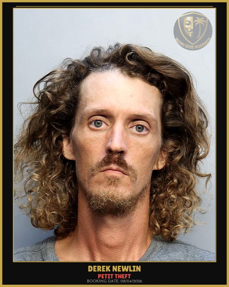 Newlin Derek  Alan Arrested – PETIT THEFT – Miami-Dade County (August 4, 2026)