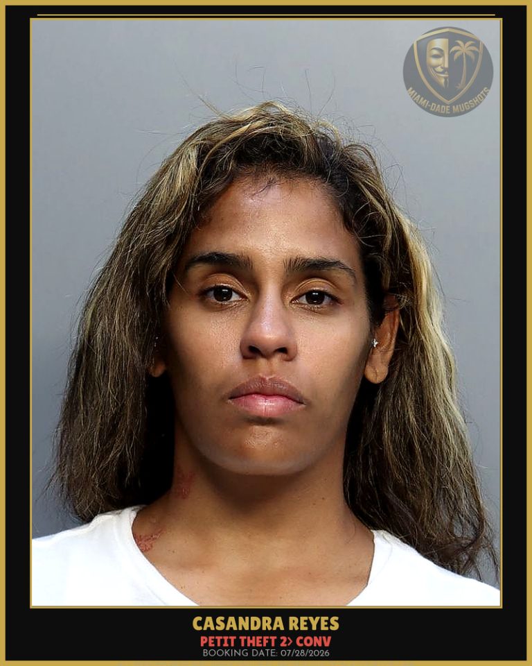 Reyes Casandra Arrested – PETIT THEFT 2> CONV – Miami-Dade County (July 28, 2026)