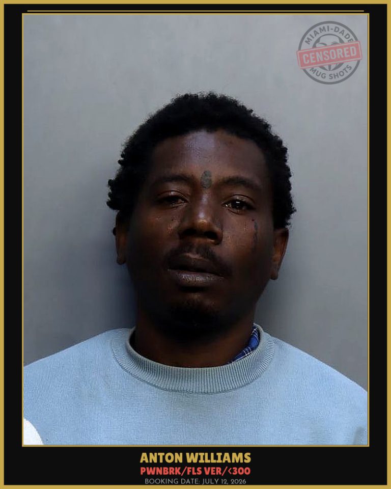 Williams Anton Arrested – PWNBRK/FLS VER/<300 – Miami-Dade County (July 12, 2026)