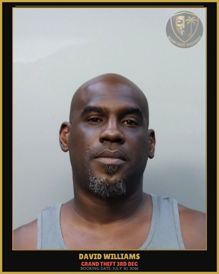 Williams David Arrested – GRAND THEFT 3RD DEG – Miami-Dade County (July 30, 2026)
