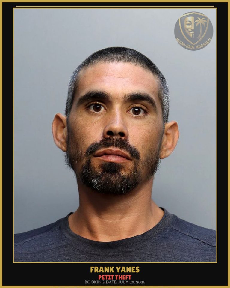 Yanes Frank  L Arrested – PETIT THEFT – Miami-Dade County (July 28, 2026)