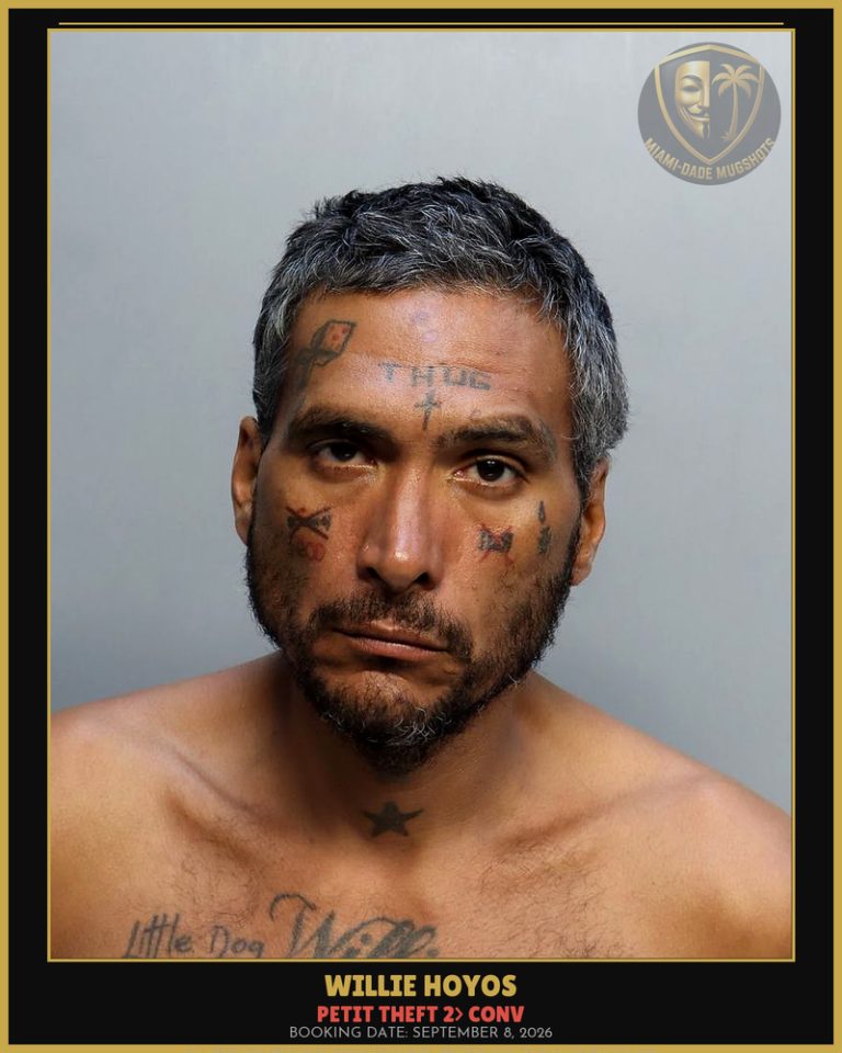 Hoyos Willie Arrested – PETIT THEFT 2> CONV – Miami-Dade County (September 8, 2026)