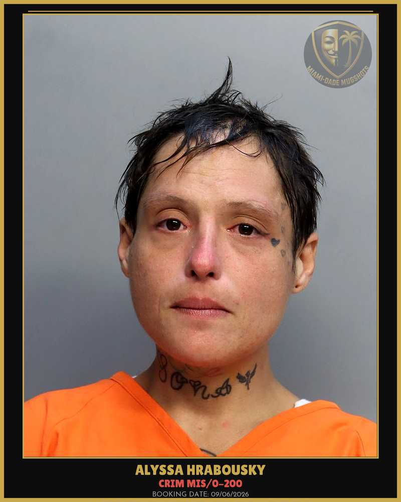 Hrabousky Alyssa  S Arrested – Crim Mis/0-200 – Miami-Dade County (Unknown)
