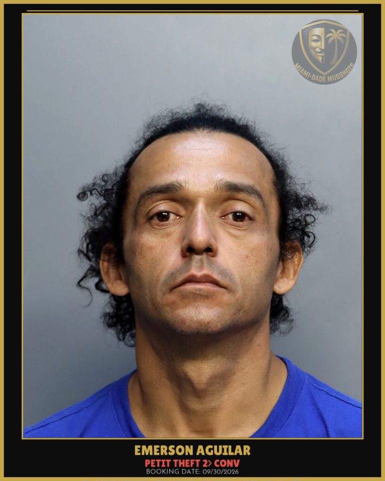 Aguilar Emerson Arrested – PETIT THEFT 2> CONV – Miami-Dade County (Unknown)