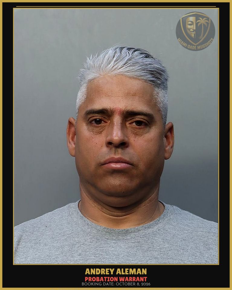Aleman Andrey Arrested – PROBATION WARRANT – Miami-Dade County (October 8, 2026)