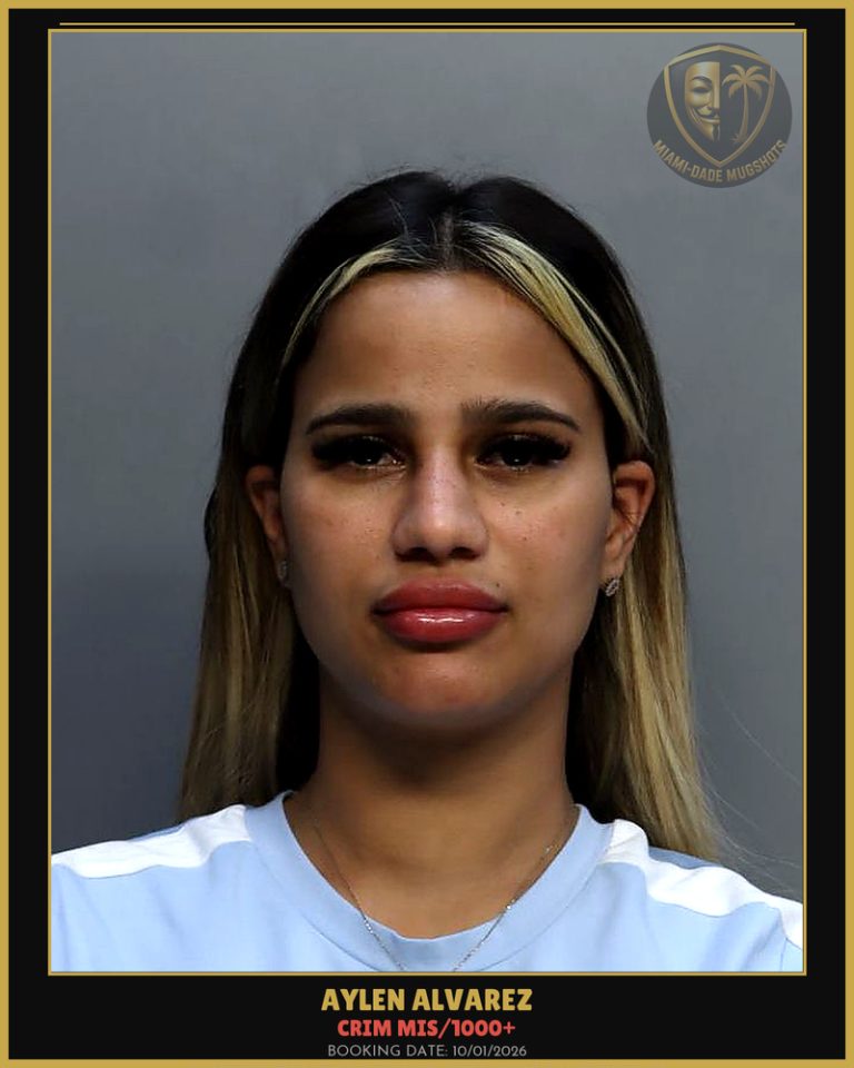 Alvarez Aylen Arrested – CRIM MIS/1000+ – Miami-Dade County (Unknown)