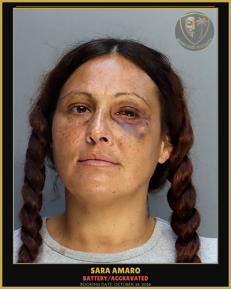 Amaro Sara  Teresa Arrested – Battery/Aggravated – Miami-Dade County (October 29, 2026)
