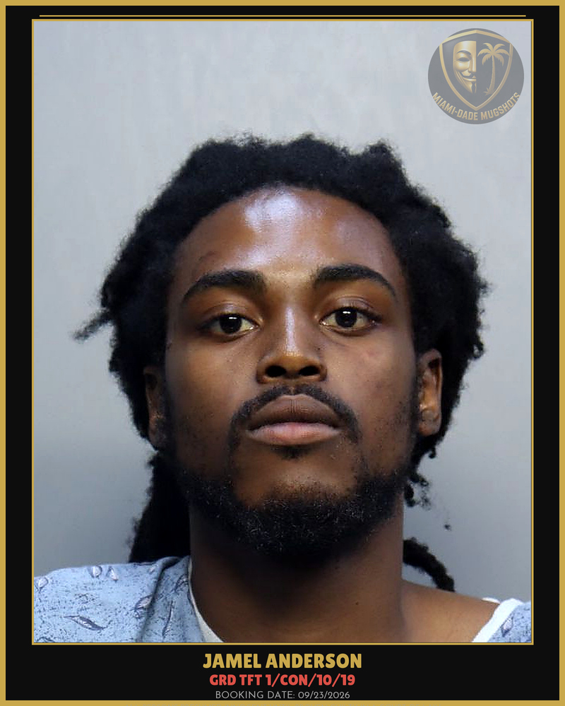 Anderson Jamel Deion Arrested – Grd Tft 1/Con/10/19 – Miami-Dade County (Unknown)
