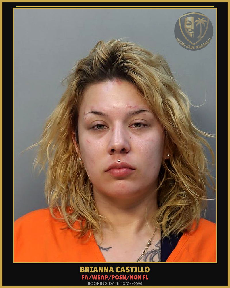 Castillo Brianna Michelle Arrested – Fa/Weap/Posn/Non Fl – Miami-Dade County (Unknown)