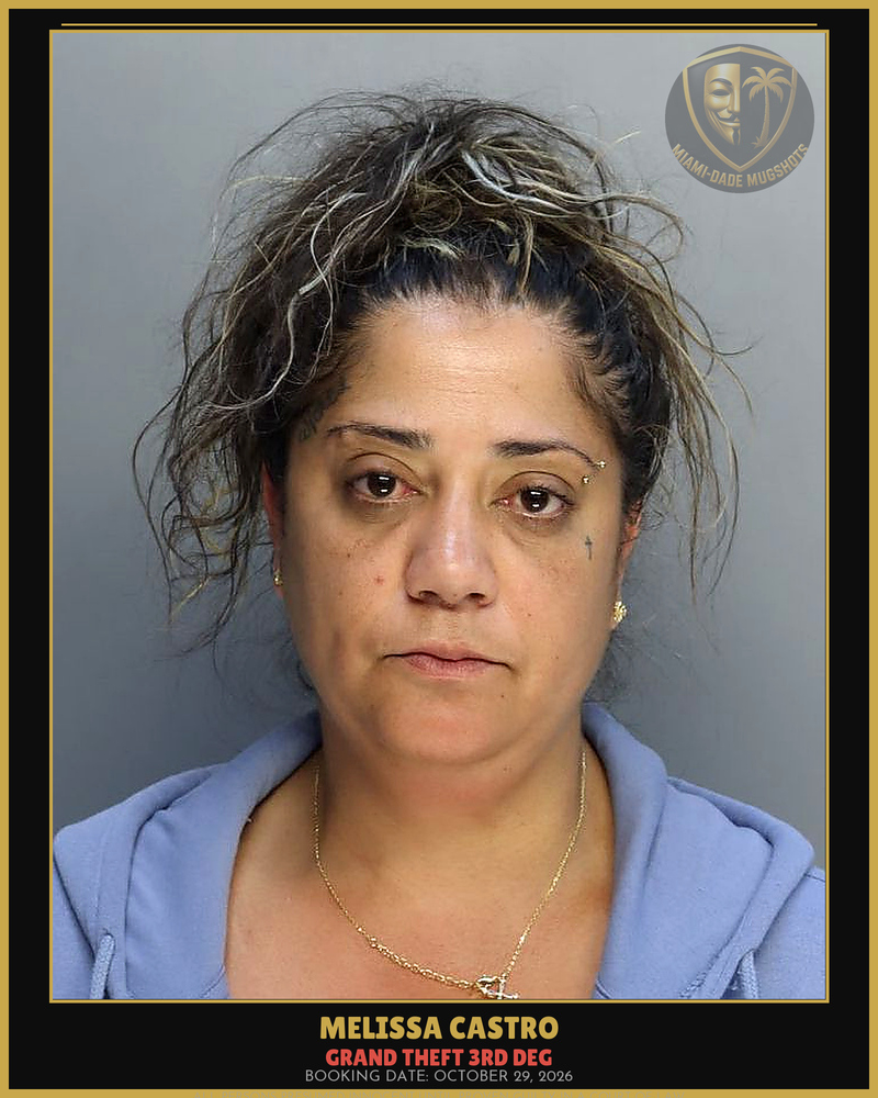 Castro Melissa Arrested – Grand Theft 3Rd Deg – Miami-Dade County (October 29, 2026)
