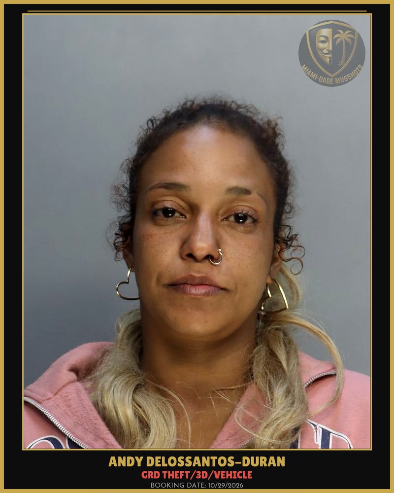 Delossantos-Duran Andy Elizabeth Arrested – Grd Theft/3D/Vehicle – Miami-Dade County (Unknown)