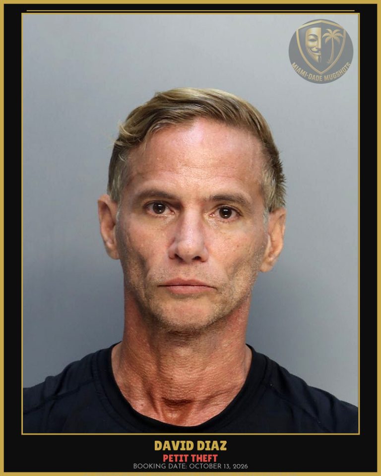 Diaz David I Arrested – PETIT THEFT – Miami-Dade County (October 13, 2026)