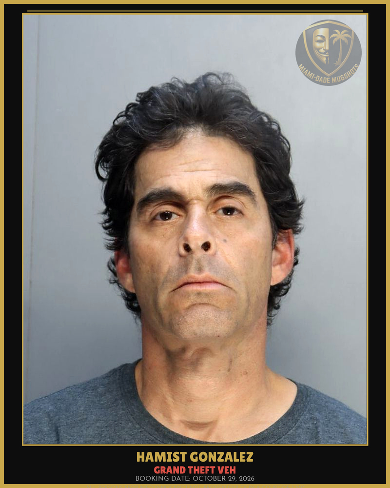 Gonzalez Hamist Arrested – Grand Theft Veh – Miami-Dade County (October 29, 2026)