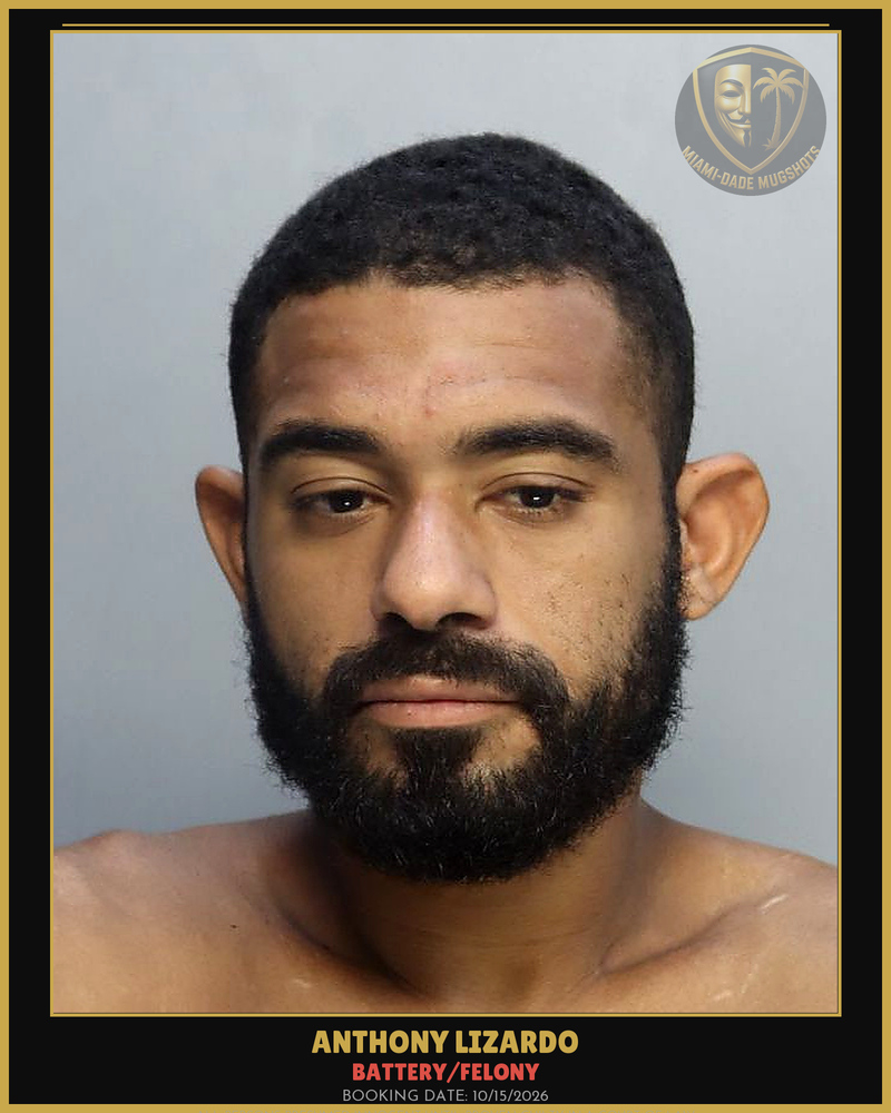 Lizardo Anthony  David Arrested – Battery/Felony – Miami-Dade County (Unknown)