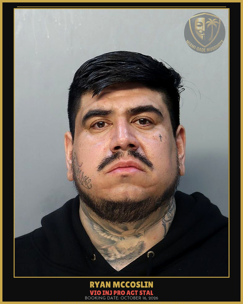 Mccoslin Ryan  P Arrested – Vio Inj Pro Agt Stal – Miami-Dade County (October 16, 2026)