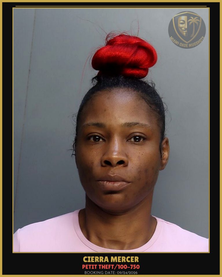 Mercer Cierra  S Arrested – PETIT THEFT/100-750 – Miami-Dade County (Unknown)