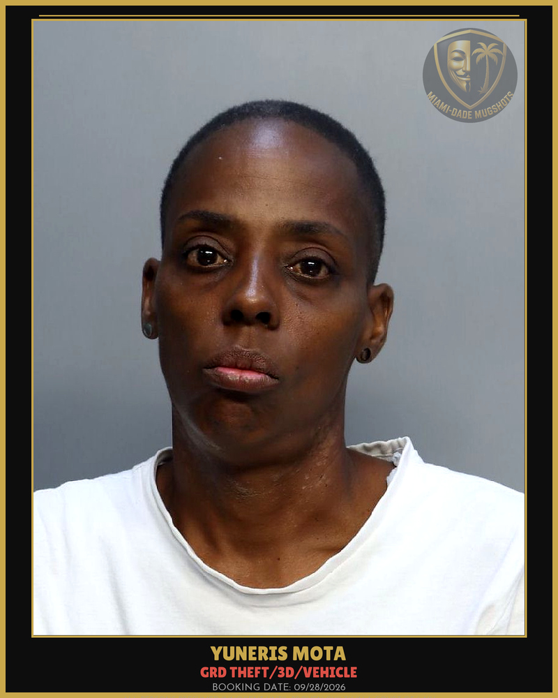 Mota Yuneris Arrested – Grd Theft/3D/Vehicle – Miami-Dade County (Unknown)