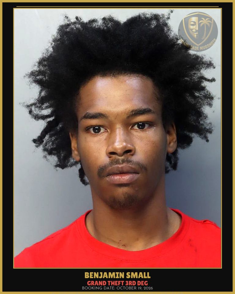 Small Benjamin  James Arrested – GRAND THEFT 3RD DEG – Miami-Dade County (October 19, 2026)