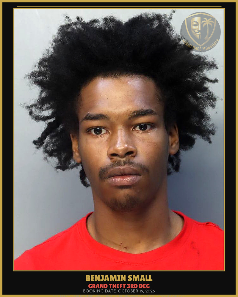 Small Benjamin  James Arrested – Grand Theft 3Rd Deg – Miami-Dade County (October 19, 2026)