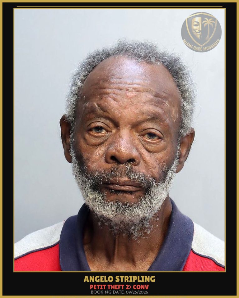 Stripling Angelo  Doul Arrested – PETIT THEFT 2> CONV – Miami-Dade County (Unknown)
