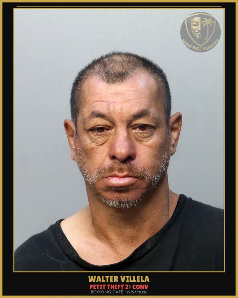 Villela Walter  Fabricio Arrested – PETIT THEFT 2> CONV – Miami-Dade County (Unknown)