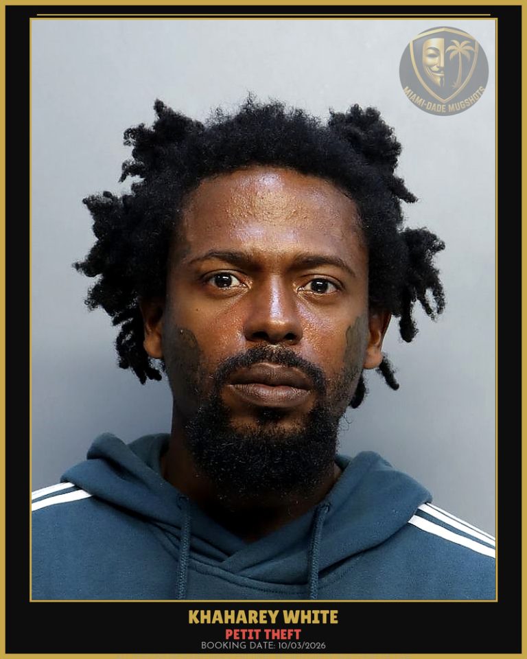White Khaharey Ryu Arrested – PETIT THEFT – Miami-Dade County (Unknown)